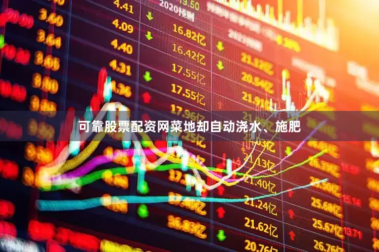 可靠股票配资网菜地却自动浇水、施肥