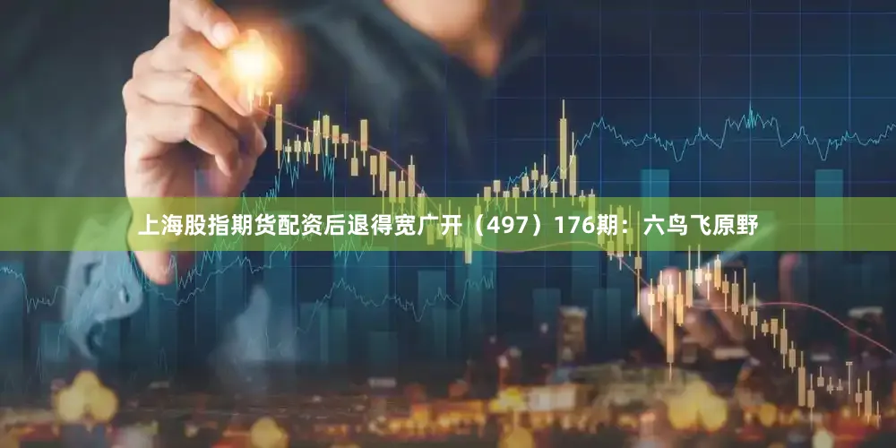 上海股指期货配资后退得宽广开（497）　　176期：六鸟飞原野