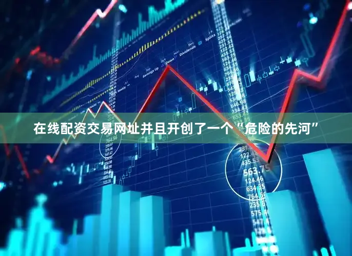 在线配资交易网址并且开创了一个“危险的先河”