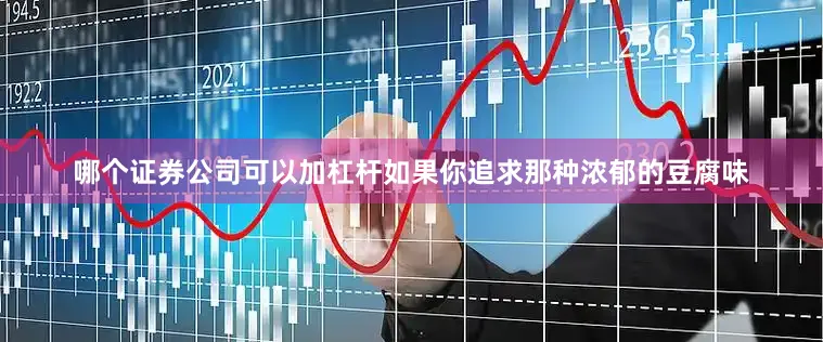 哪个证券公司可以加杠杆如果你追求那种浓郁的豆腐味