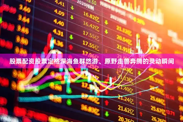股票配资股票定格深海鱼群悠游、原野走兽奔腾的灵动瞬间