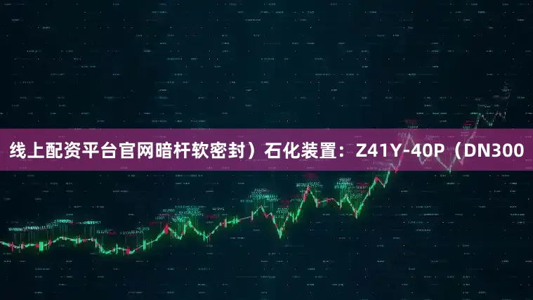 线上配资平台官网暗杆软密封）石化装置：Z41Y-40P（DN300